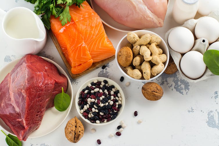 Low carb, Paleo or fasting – which diet is best? Low carb, Paleo or fasting – which diet is best?