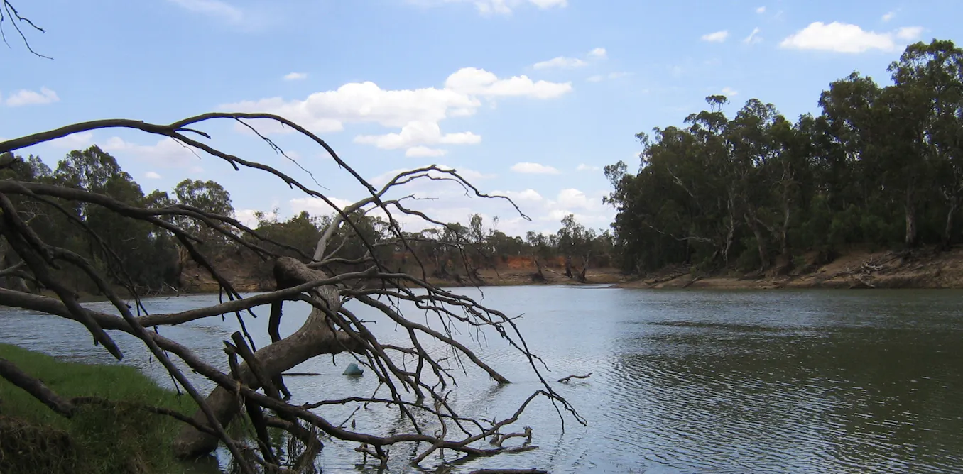 As drought looms, the Murray-Darling is in much healthier shape – just ...