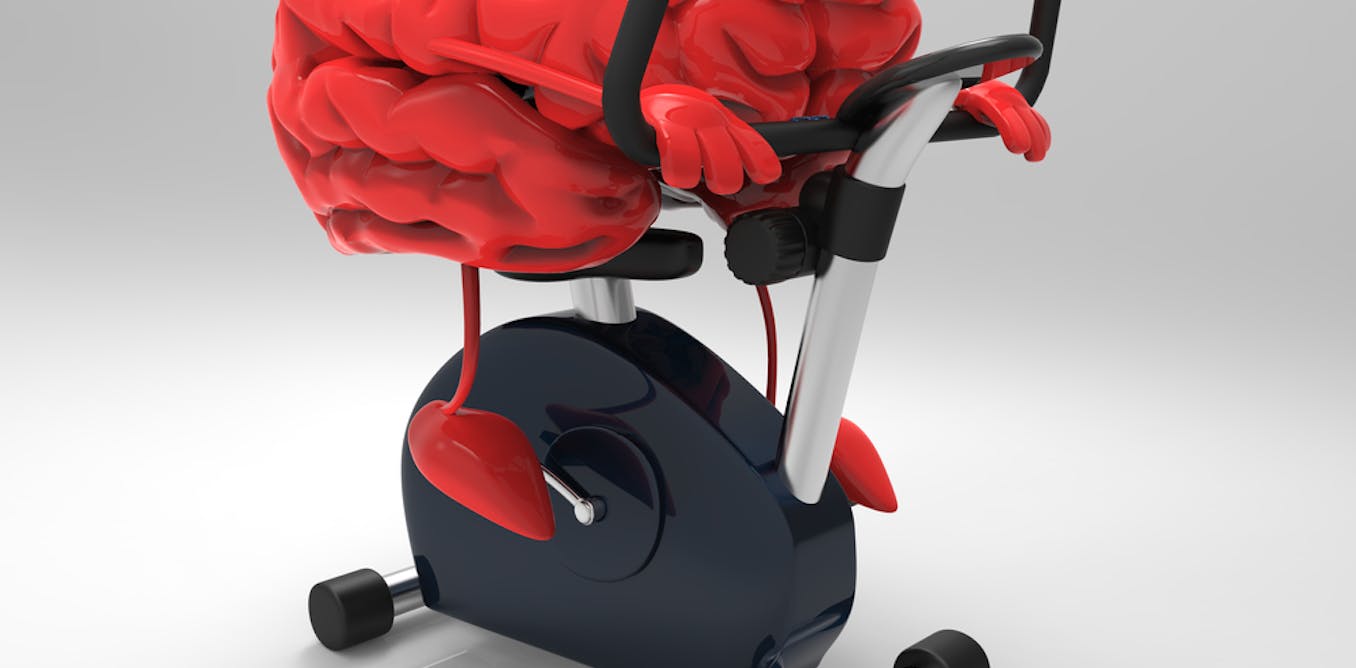 At last, a gold-standard study on brain training