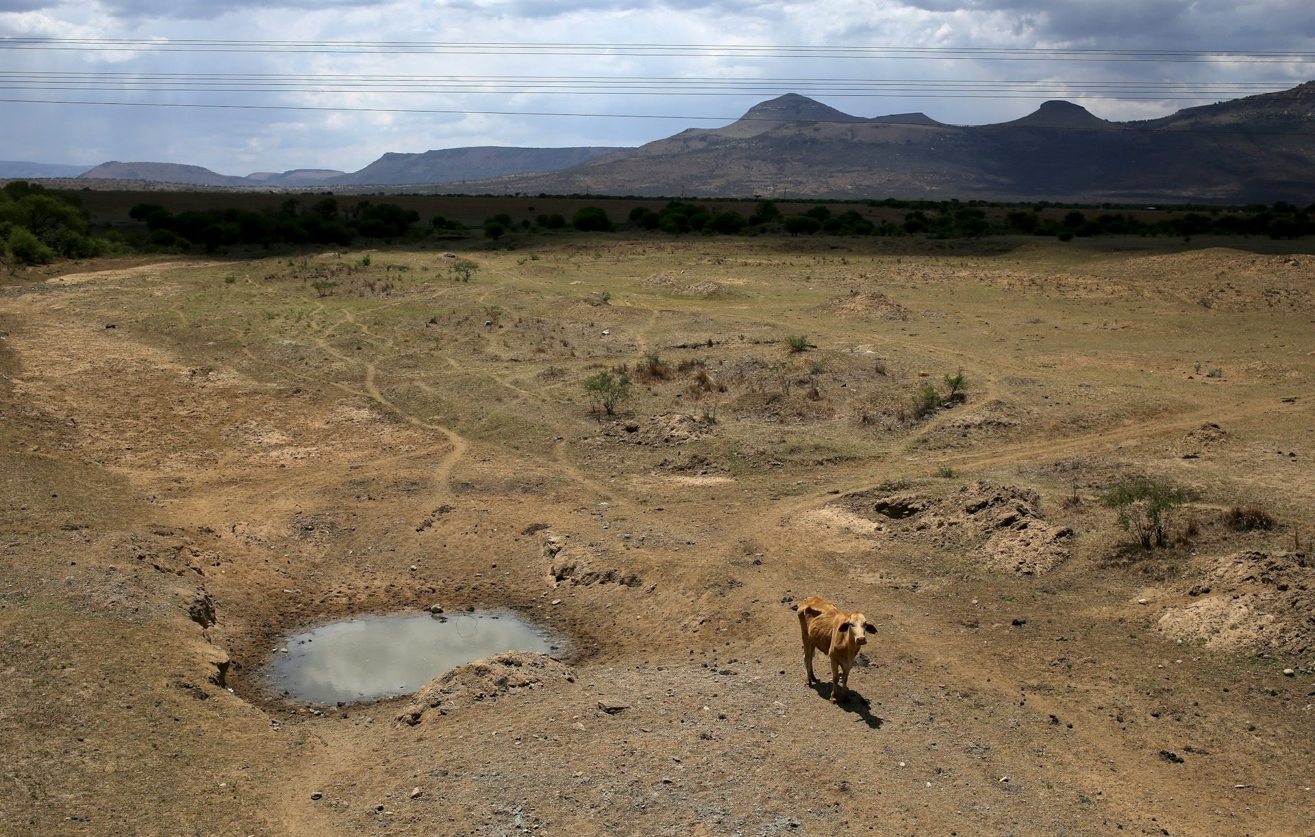 South Africa is failing to rise to its water challenges