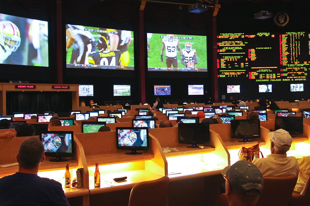 Nevada online sports betting law
