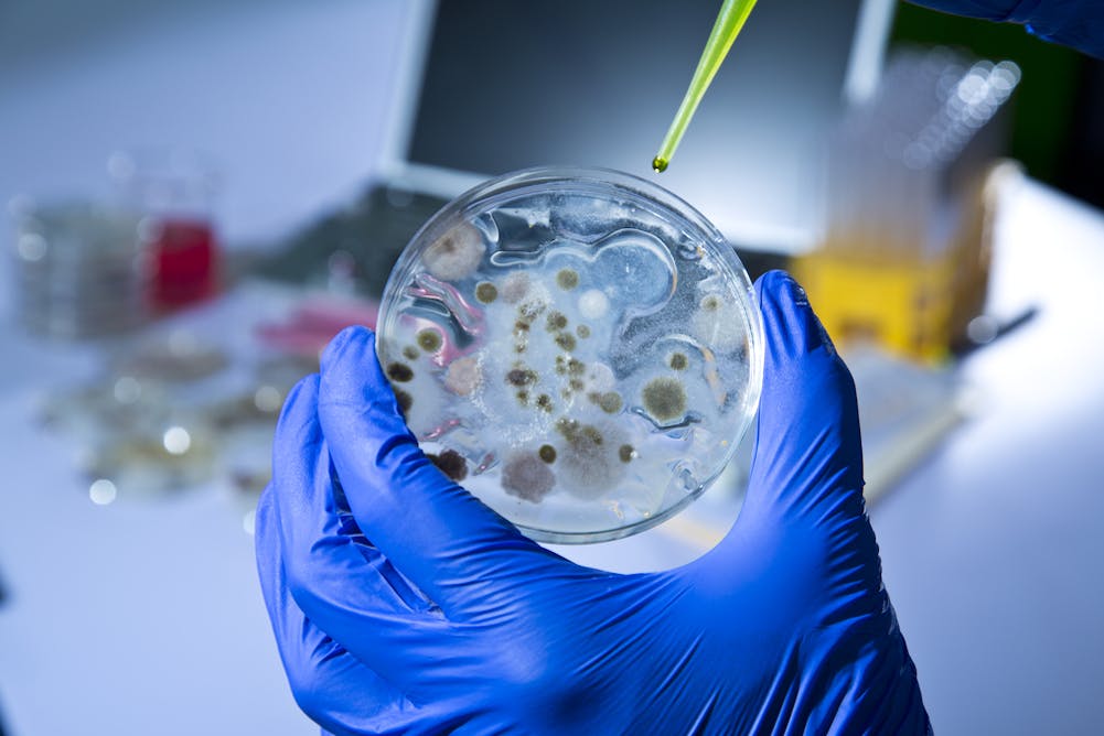 Анализ воздуха воды. Биотехнология чашки Петри с микроорганизмами. Биотехнология микроорганизмов. Микроорганизмы в пробирках. Микробная биотехнология.