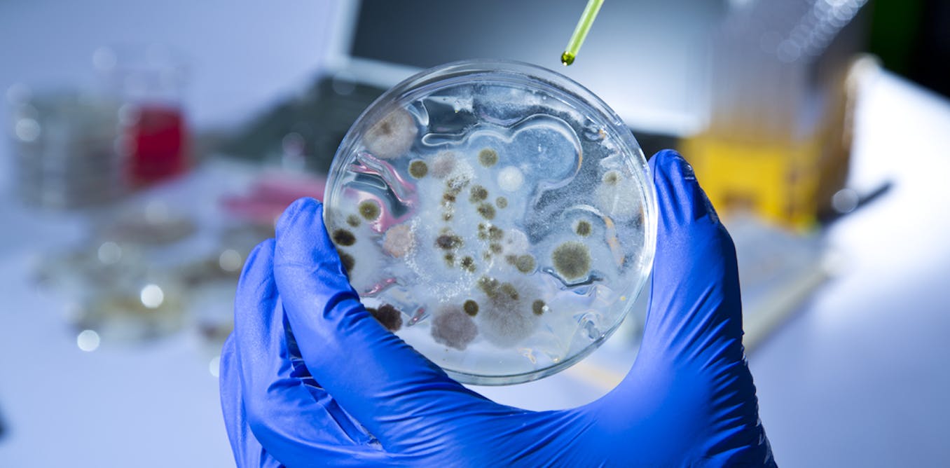 Анализ воздуха воды. Биотехнология чашки Петри с микроорганизмами. Биотехнология микроорганизмов. Микроорганизмы в пробирках. Микробная биотехнология.