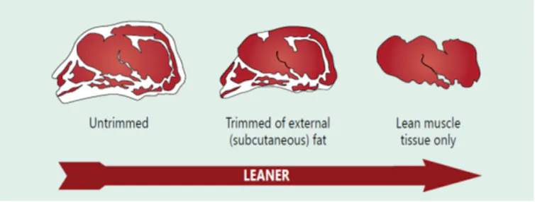Lean Red Meat Examples How red meat has become leaner in South Africa over the last four decades