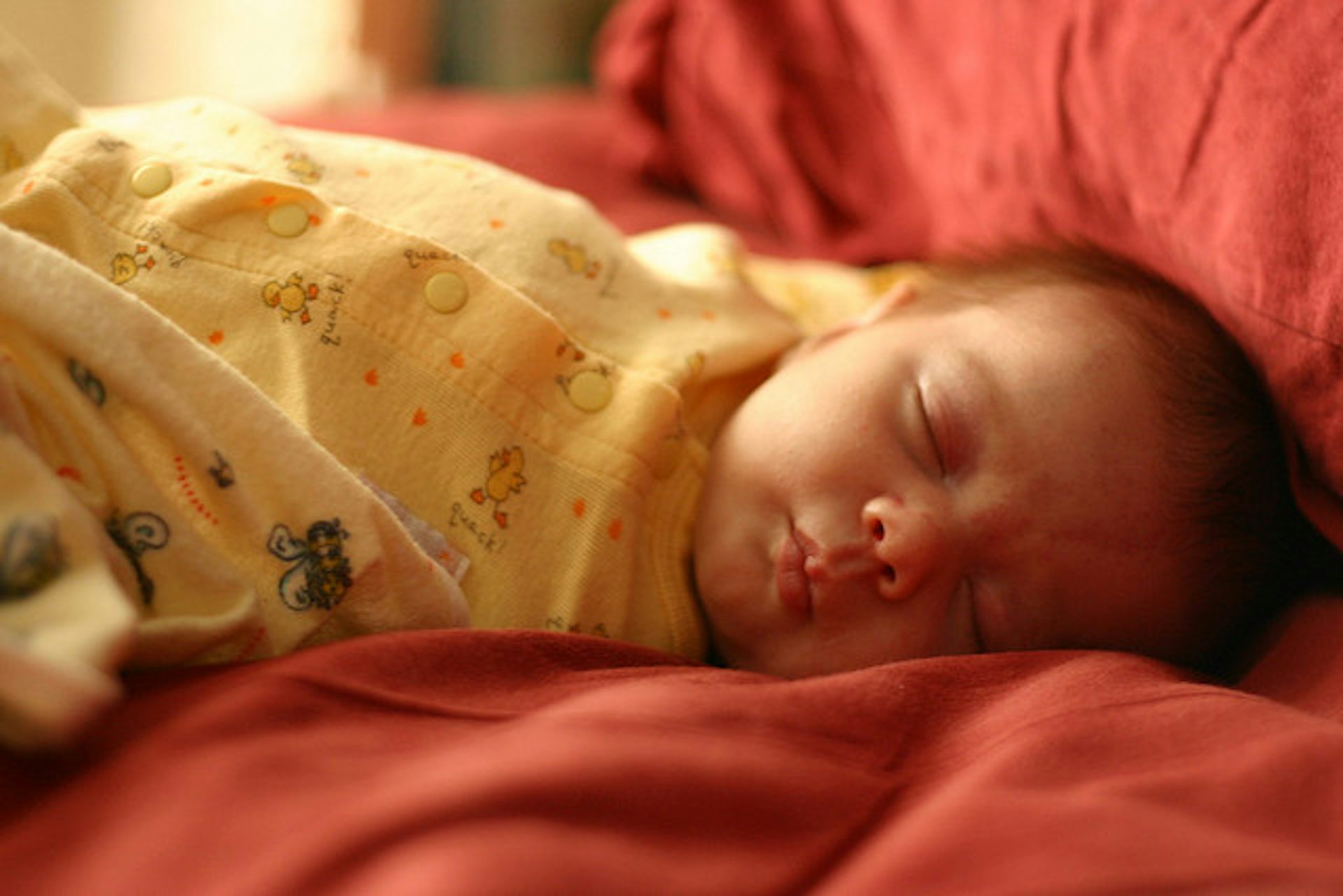 Does All Assisted Reproduction Lead To Birth Defects 