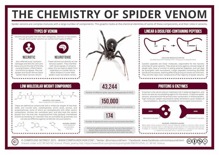 Spider Key Science Bio Spiders are a treasure trove of scientific wonder
