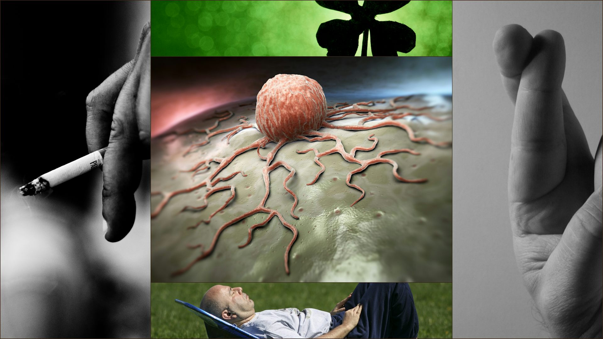 Why Most Cancer Isn T Due To Bad Luck