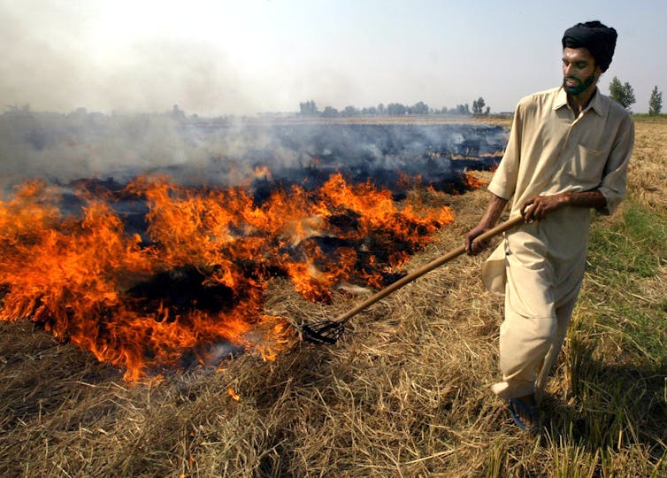 pollution in delhi speech 300 words