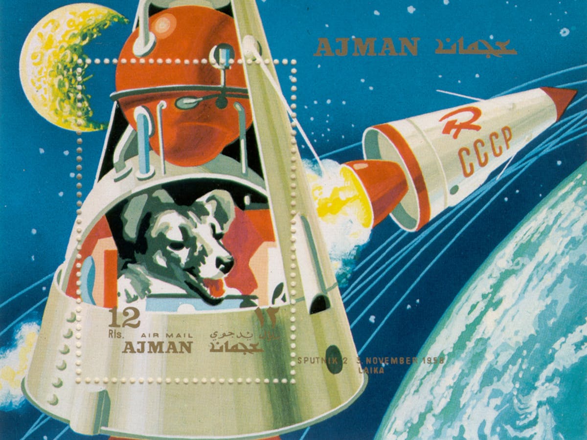 How animal astronauts paved the way for human space flight