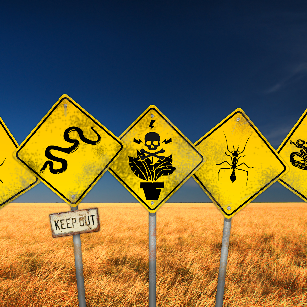 Are Australian Snakes The Deadliest In The World Not Even Close