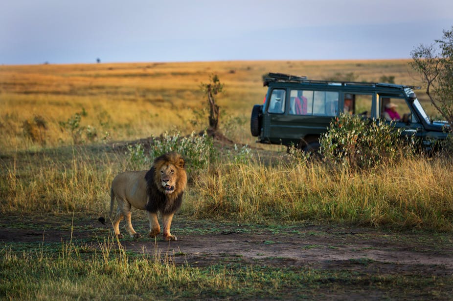 ÎÏοÏÎλεÏμα εικÏÎ½Î±Ï Î³Î¹Î± Global luxury safari tourism market is seeing a steady increase