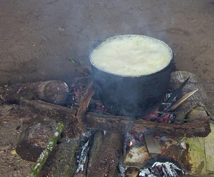 Ayahuasca: the shamanic brew that produces out-of-body experiences