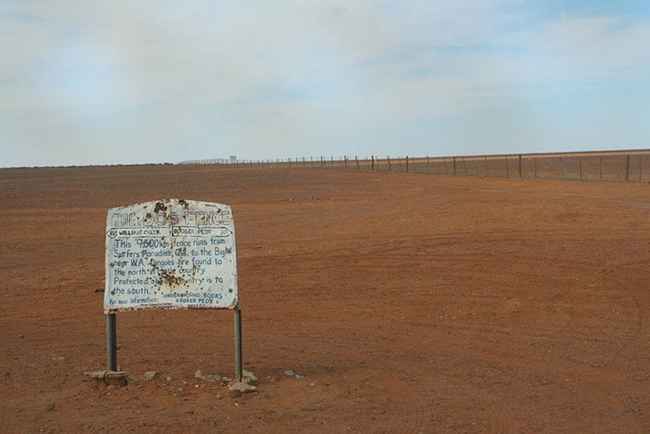 Can Australia Afford The Dingo Fence