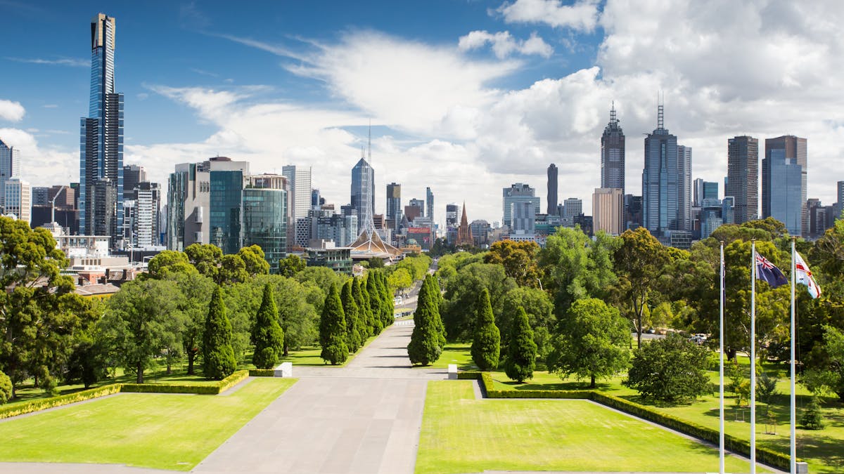 Concrete Jungle We Ll Have To Do More Than Plant Trees To Bring Wildlife Back To Our Cities Concrete Jungle We Ll Have To Do More Than Plant Trees To Bring Wildlife Back To Our Cities