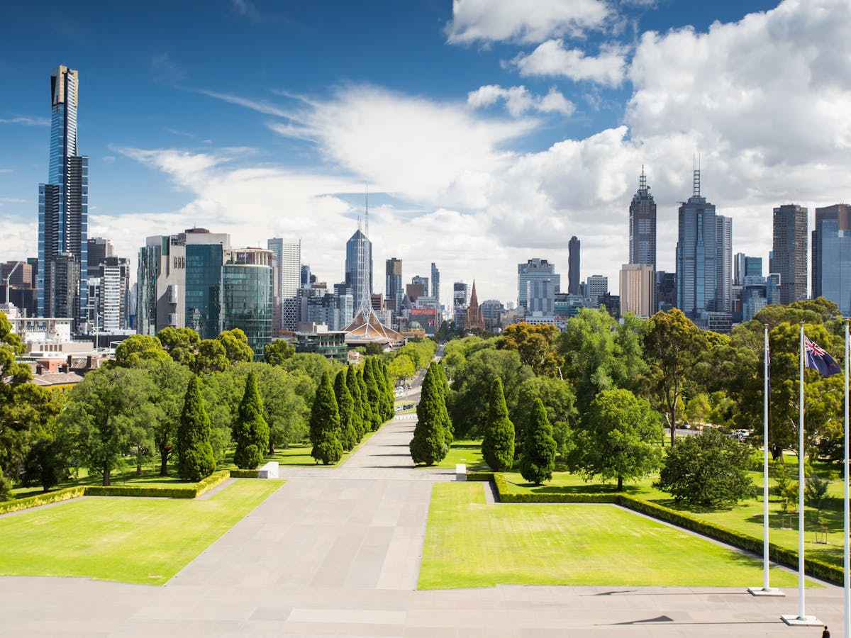 Concrete Jungle We Ll Have To Do More Than Plant Trees To Bring Wildlife Back To Our Cities Concrete Jungle We Ll Have To Do More Than Plant Trees To Bring Wildlife Back To Our Cities