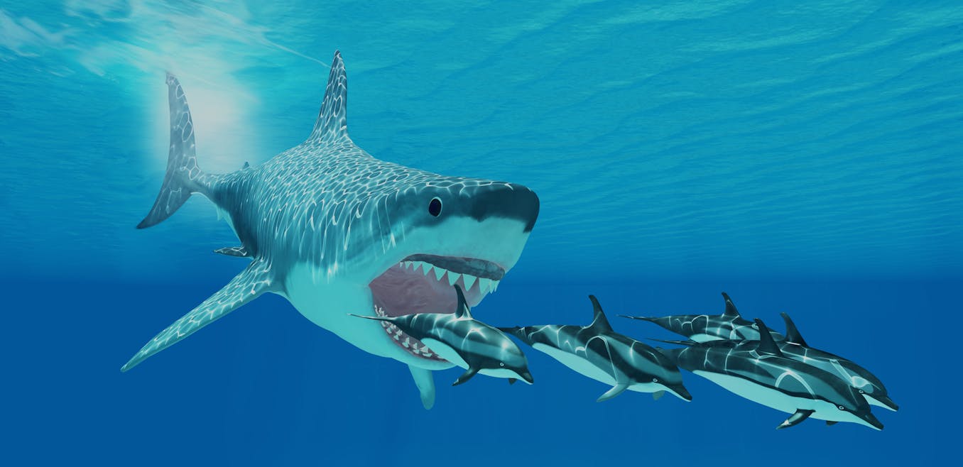 Giant monster Megalodon sharks lurking in our oceans: be serious!