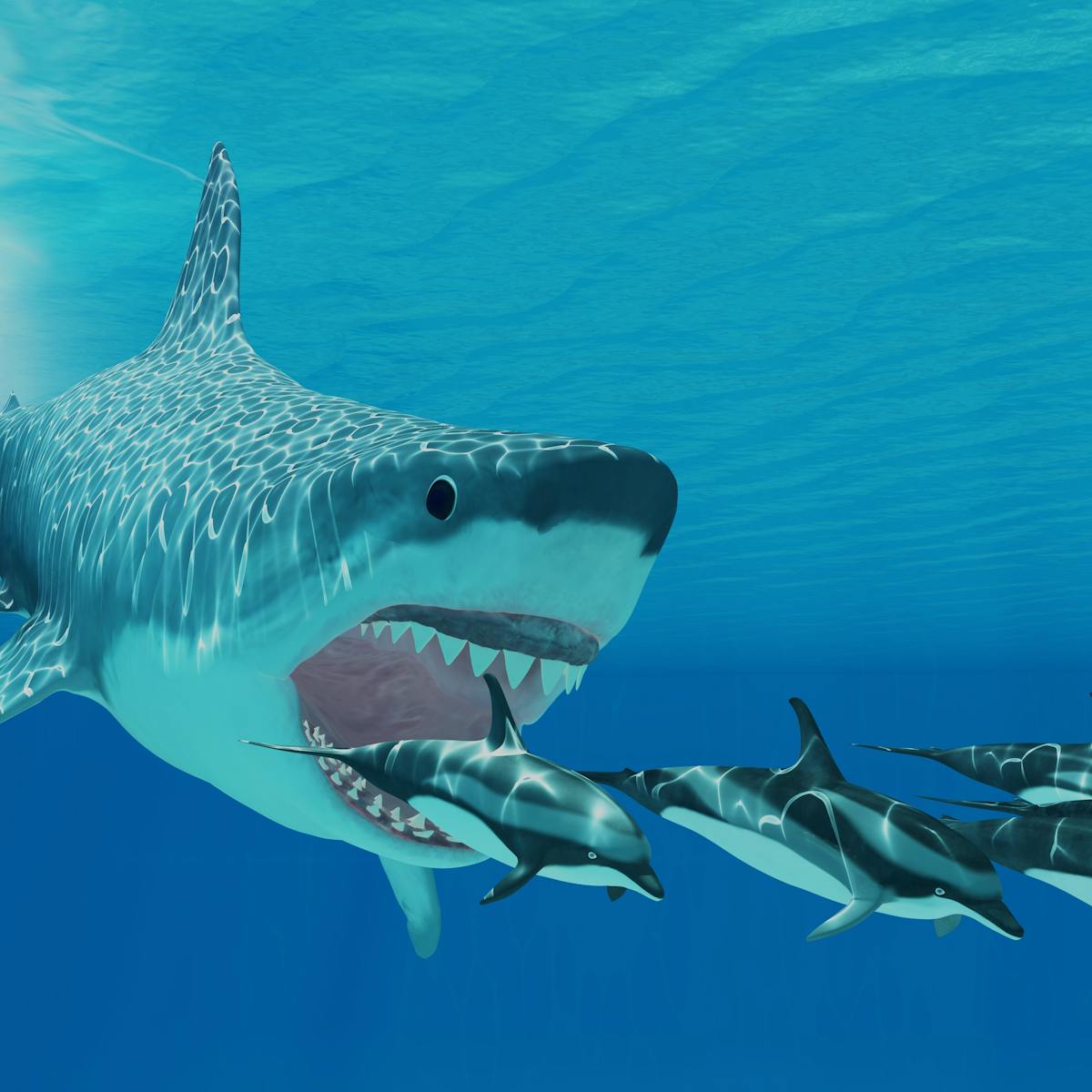 Megalodon Jaws Vs Great White Jaws