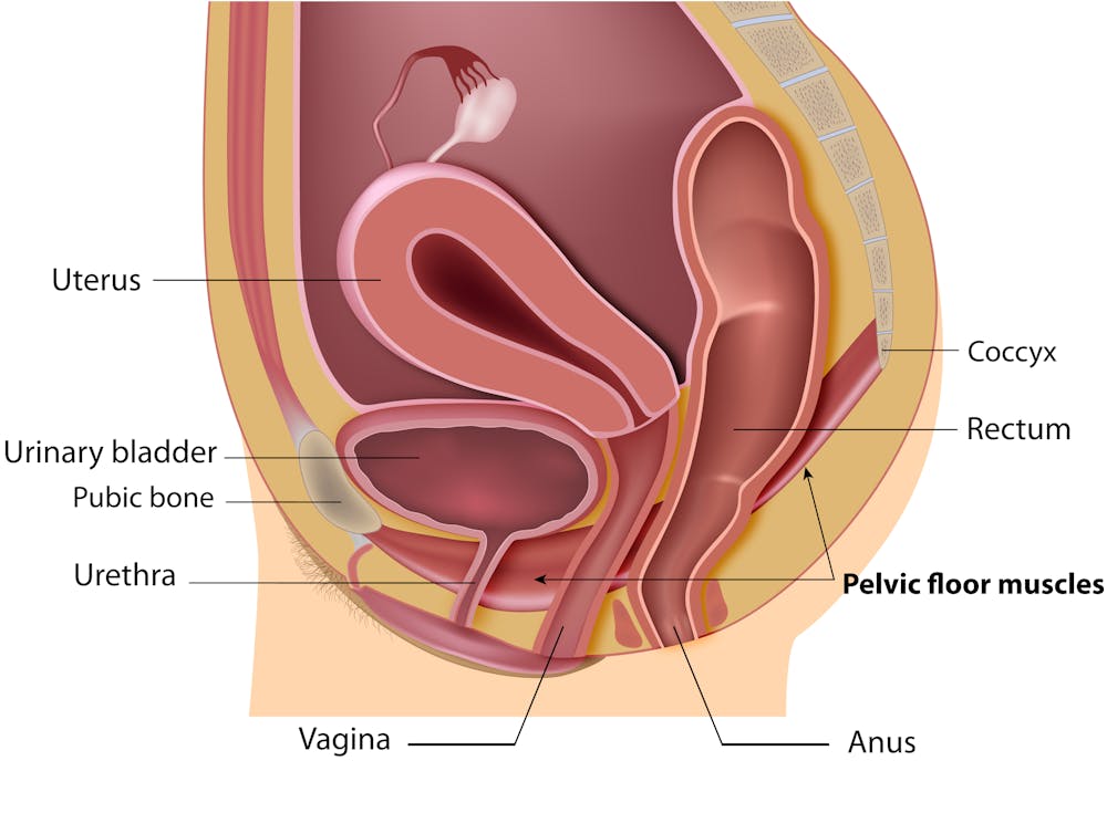 Urinary Incontinence Can Be A Problem For Women Of All Ages But