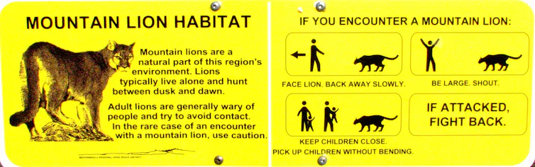 Attack Puma Sign How humans threaten pumas just by being nearby