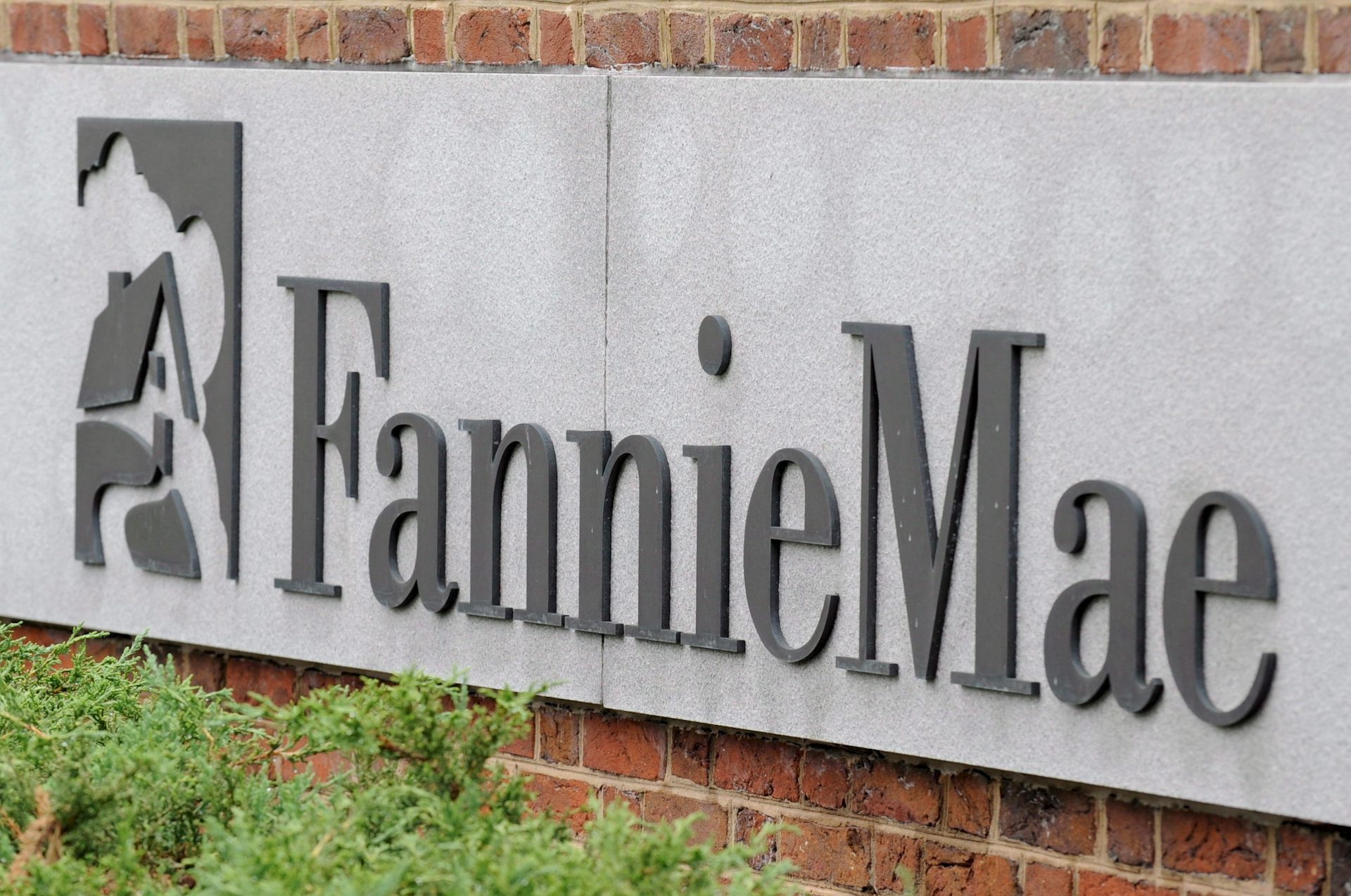 fannie mae and freddie mac phone number