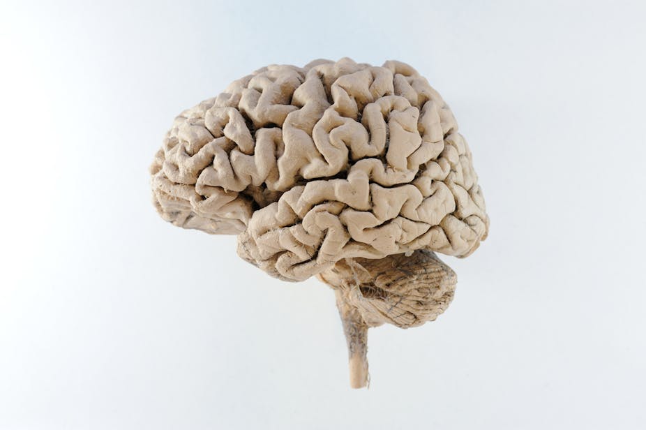 Brain Tissue Reveals More Genetic Clues >> Is Schizophrenia Written In Our Genes Brain Tissue Reveals More Genetic Clues >> Is Schizophrenia Written In Our Genes