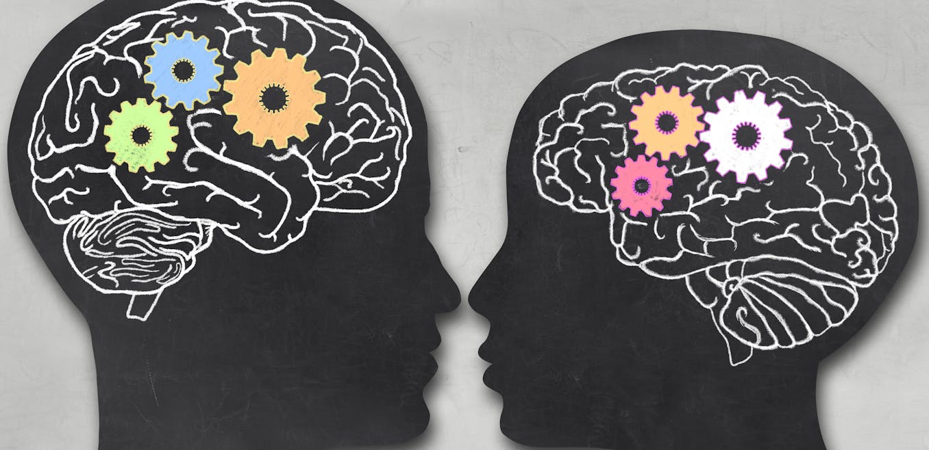 Are male and female brains really different?