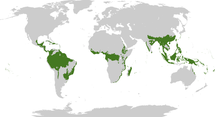 Les Forets Tropicales Des Puits De Carbone Hautement Vulnerables Les Forets Tropicales Des Puits De Carbone Hautement Vulnerables