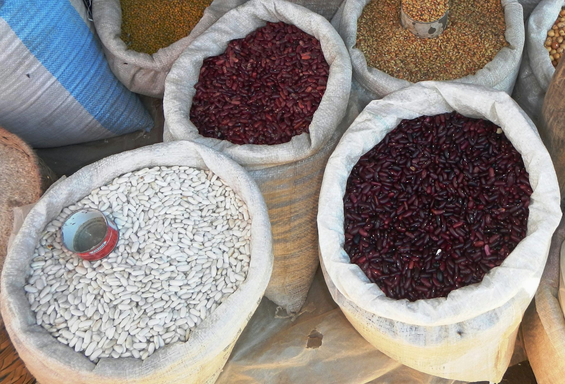 Africa’s informal seed system needs to be brought in from the cold