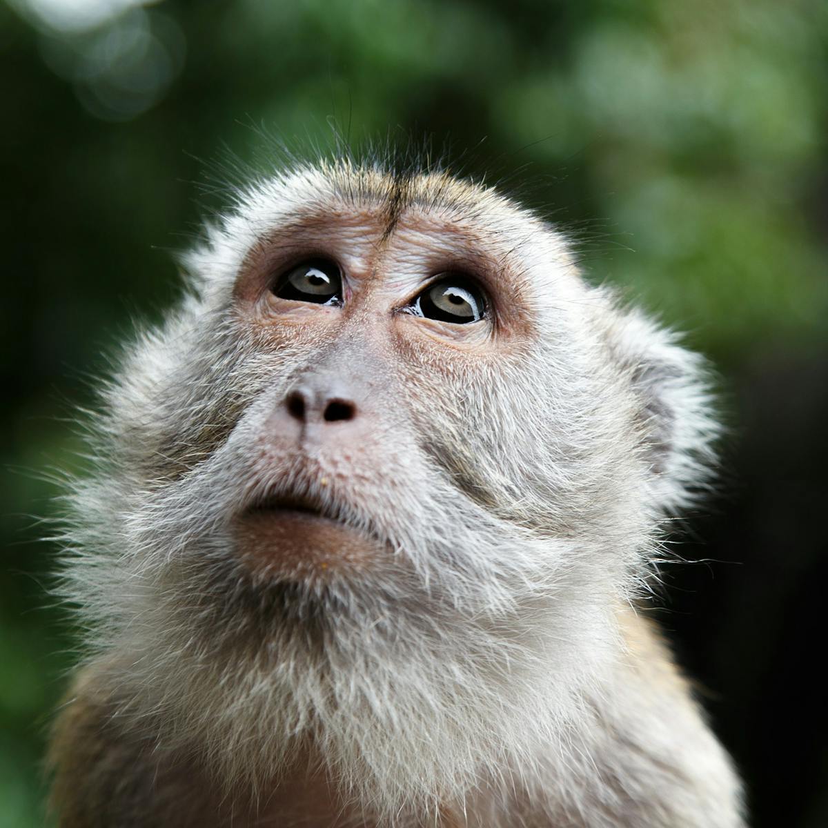 the five most common misunderstandings