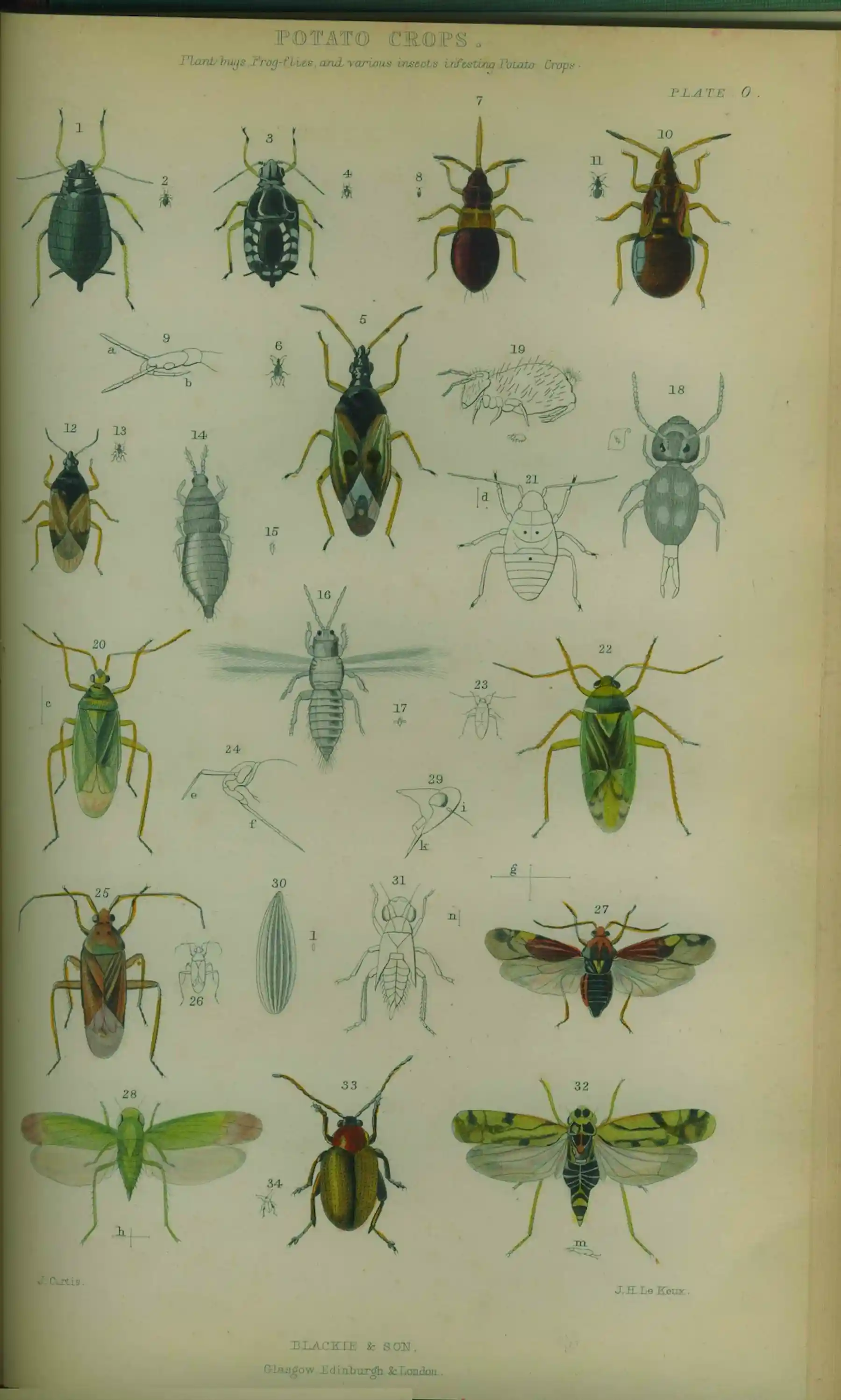 Exemple Insecte Les insectes, un modèle de sensibilisation à l'environnement