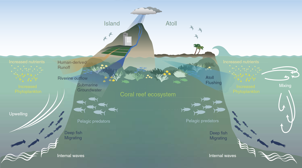 Solving 'Darwin's Paradox': why coral island hotspots exist in an ...