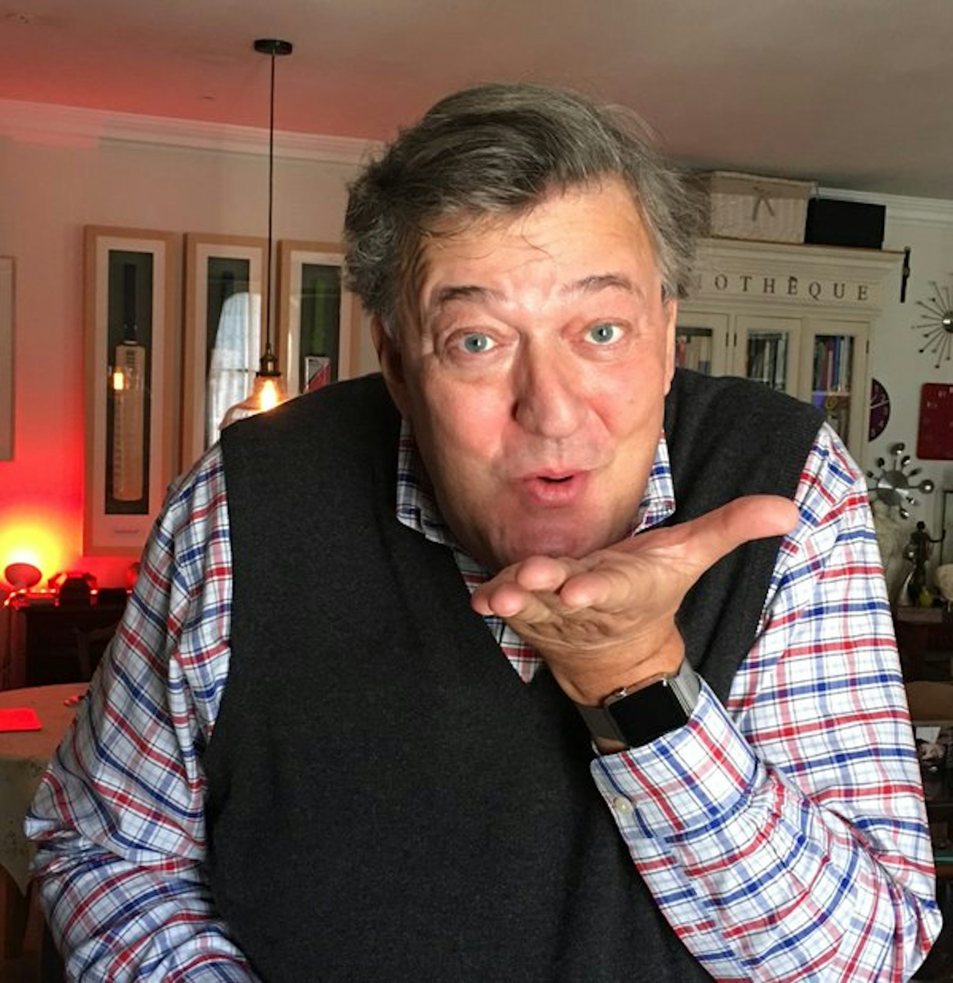 Why Was Stephen Fry Fried On Twitter   Image 20160218 1274 P99ocs 