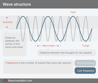 Explainer Making Waves In Science Explainer Making Waves In Science