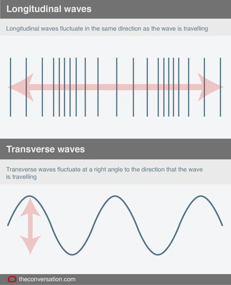 Transverse Examples Science Explainer: making waves in science