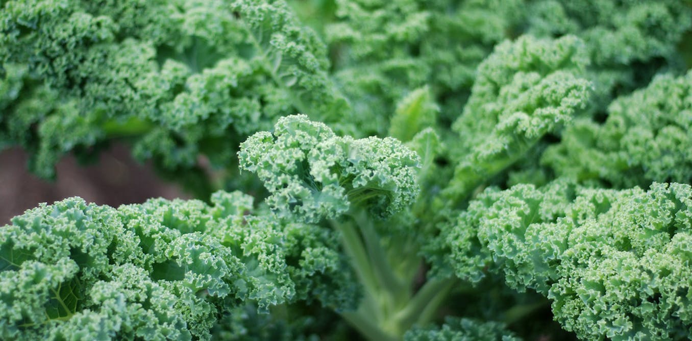 Can Calcium Supplements Cause Heart Disease can-calcium-supplements-cause-heart-disease