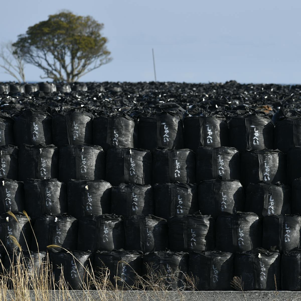 Fukushima: Lessons Learned from an Extraordinary Case of Soil Decontamination Fukushima: Lessons Learned from an Extraordinary Case of Soil Decontamination