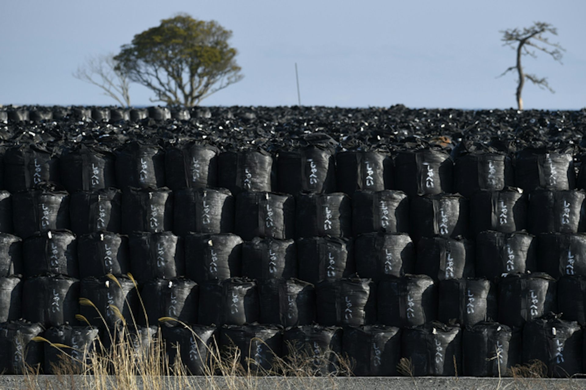 Les Leçons De Fukushima - 