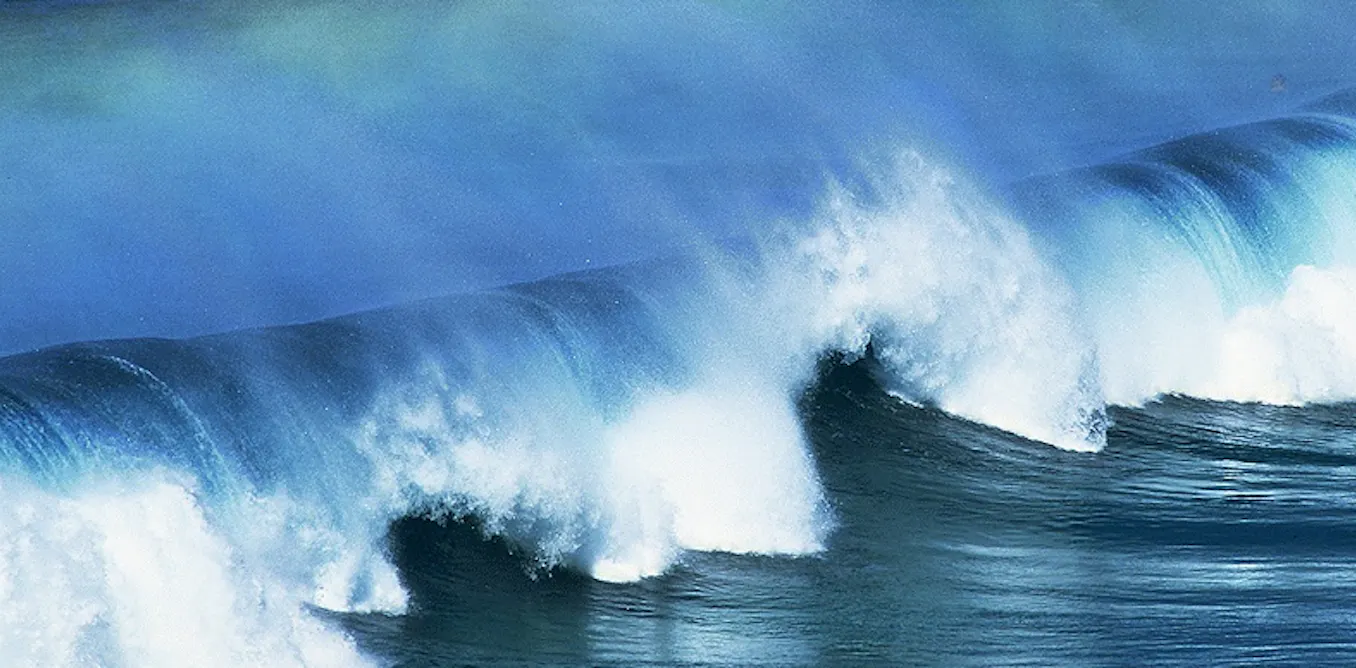 Un rendez-vous historique pour protéger la haute mer des convoitises