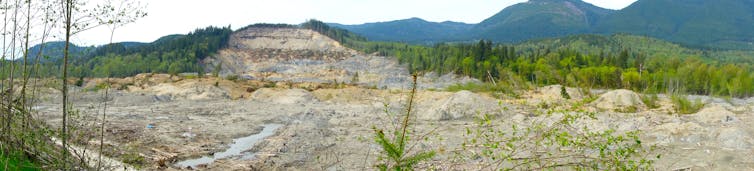 oso washington landslide case study