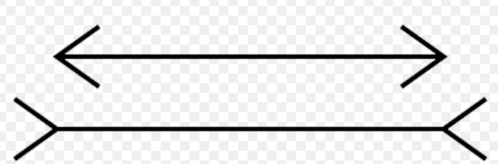 Tricking The Brain How Magic Works -