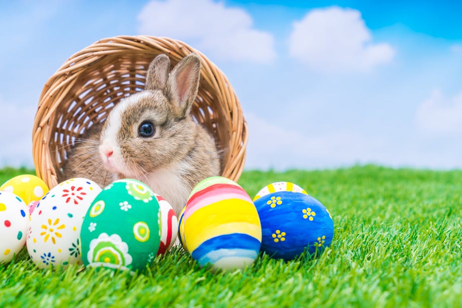 復活 節 復活 蛋 - 復活兔