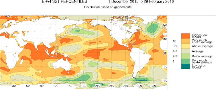 This Summer S Sea Temperatures Were The Hottest On Record For Australia Here S Why