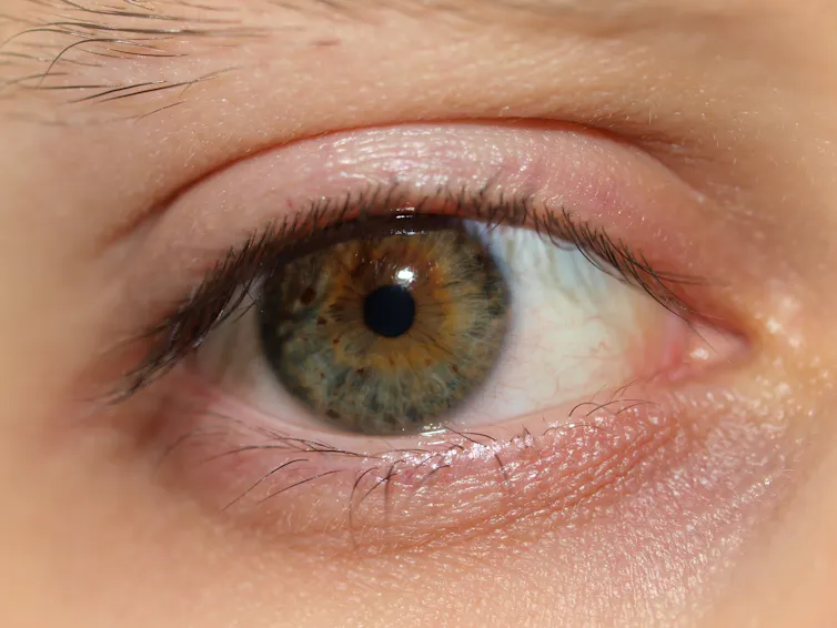 Consious Eye Is anyone there? About consciousness and its disorders