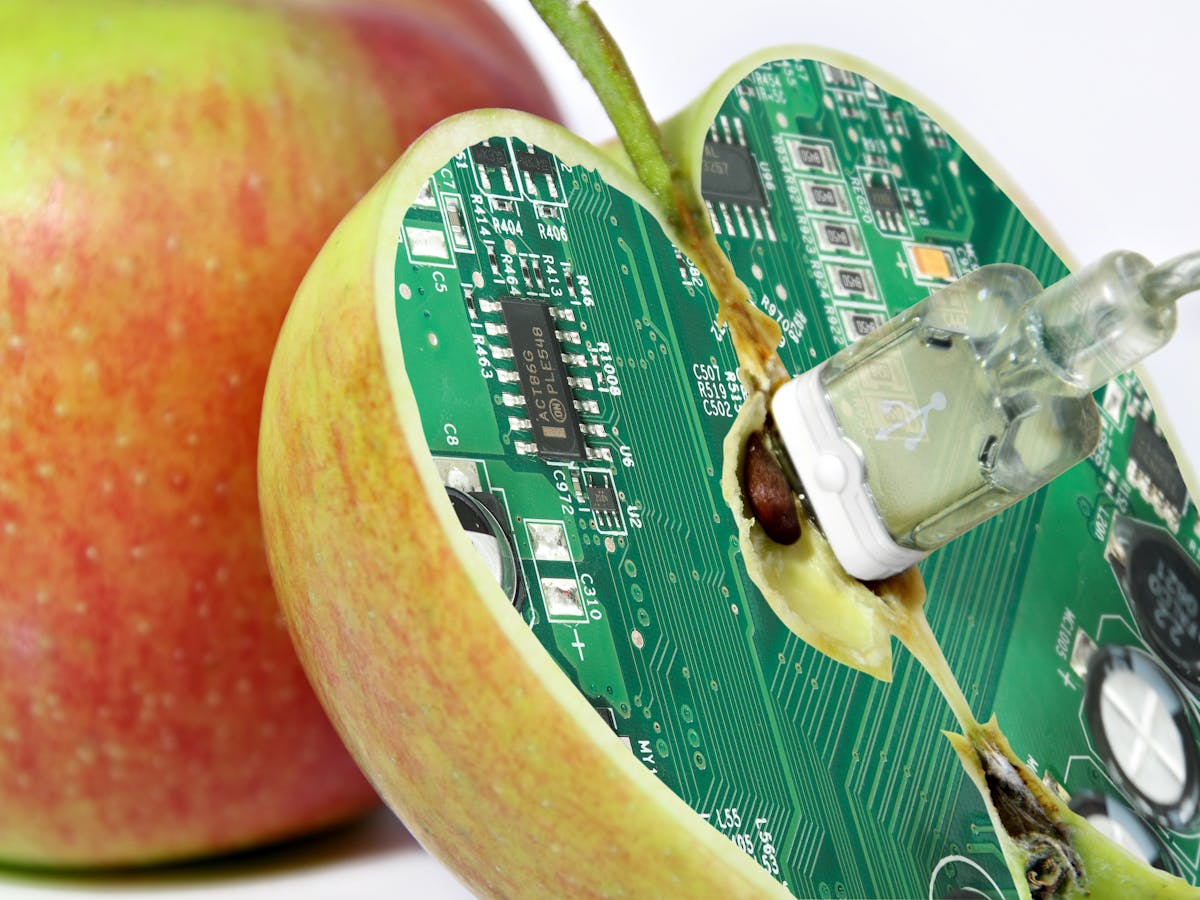 All our food is 'genetically modified' in some way – where do you draw the line?