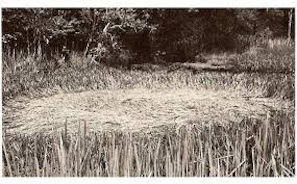 50 Años después el Caso ufologico del incidente Westall sigue siendo todo un misterio %name %name 50 Años después el Caso ufologico del incidente Westall sigue siendo todo un misterio