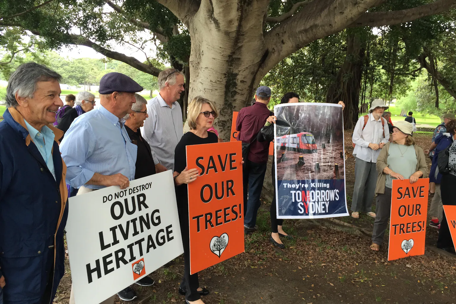 Light Rail Tree Trees versus light rail: we need to rethink skewed urban planning values