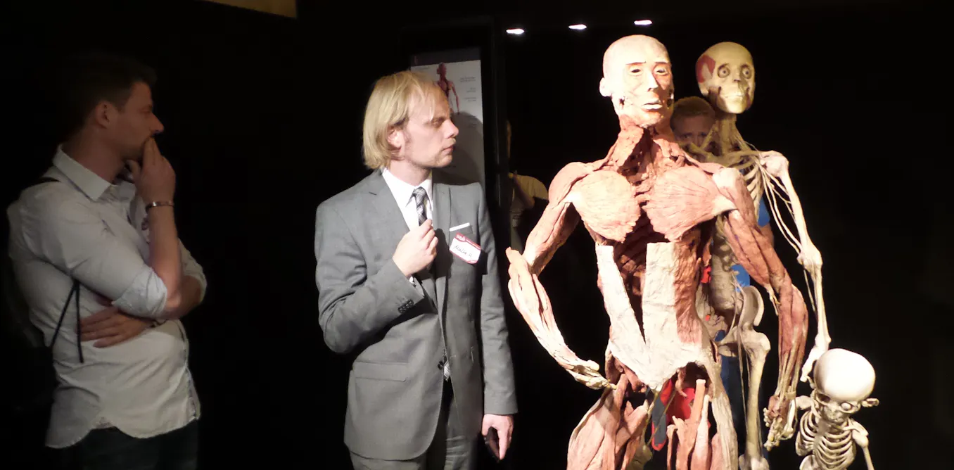 Reconsidering Body Worlds: why do we still flock to exhibits of dead ...