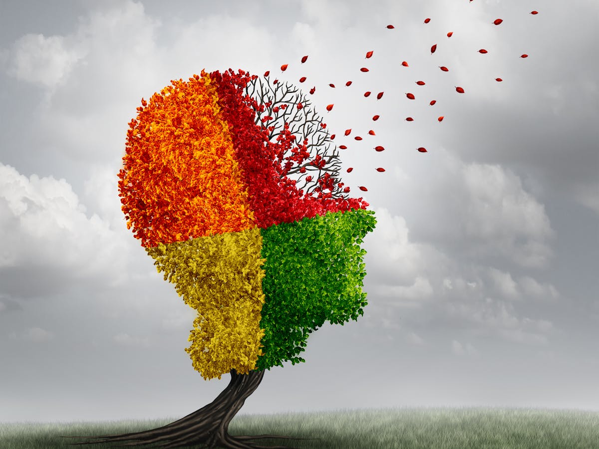 The Philosophical Role Of Illness And How It Can Teach Us To Live Reflectively The Philosophical Role Of Illness And How It Can Teach Us To Live Reflectively