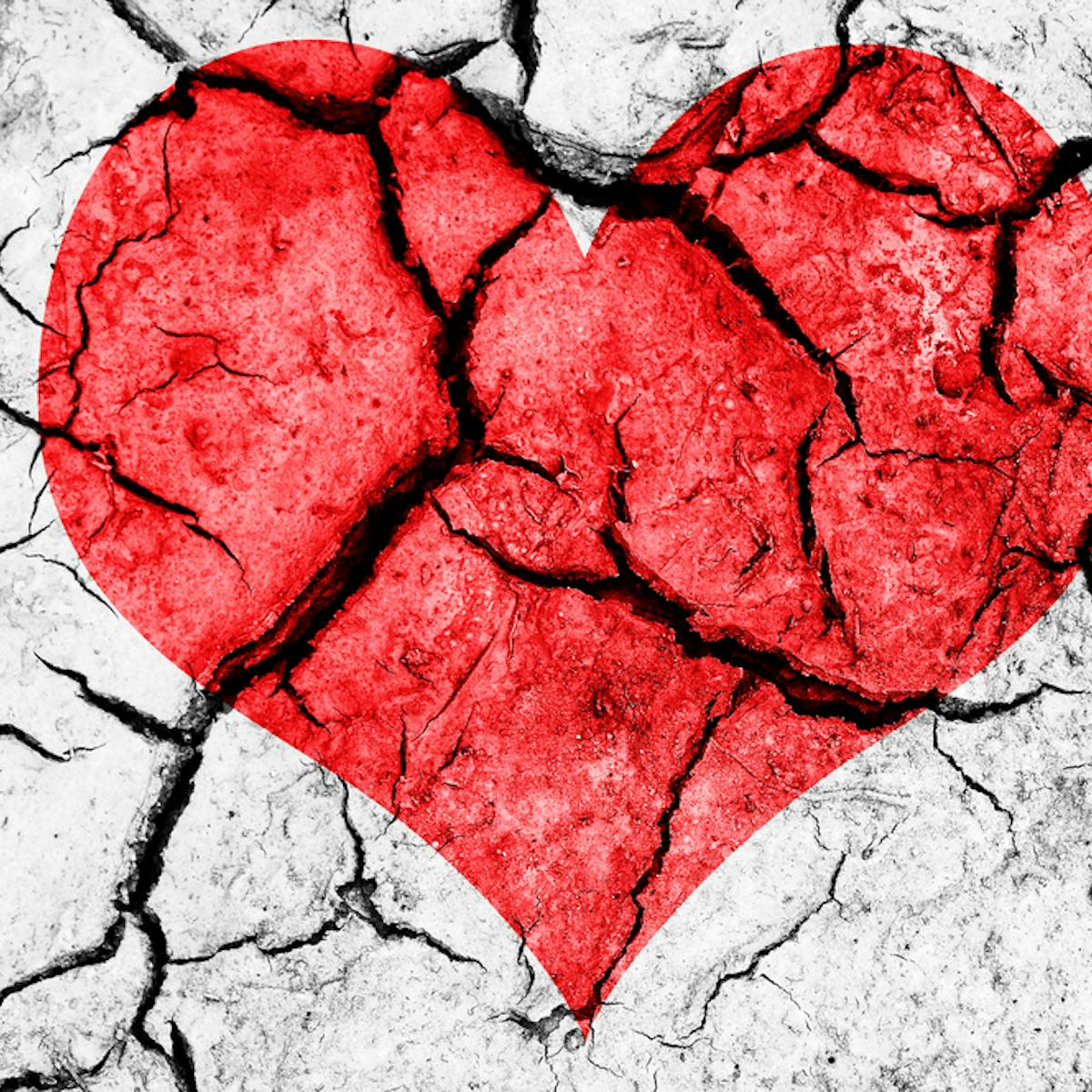 You really can die of a broken heart – here&amp;#39;s the science
