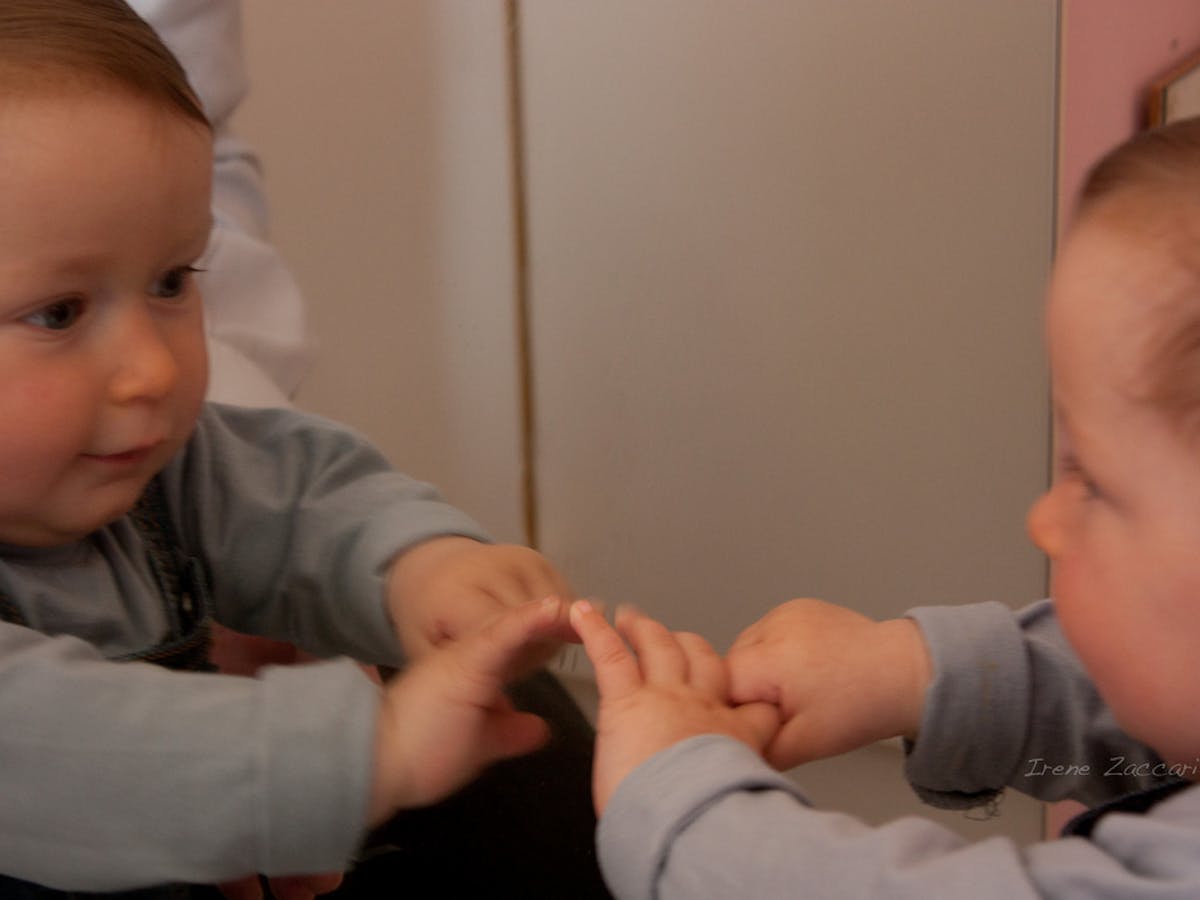 Why The Baby Brain Can Learn Two Languages At The Same Time Why The Baby Brain Can Learn Two Languages At The Same Time